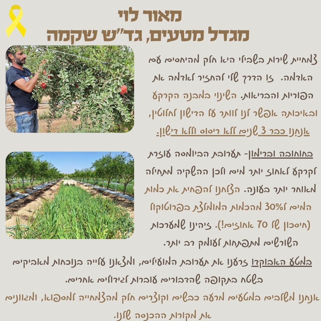 סיפור לקוח 5