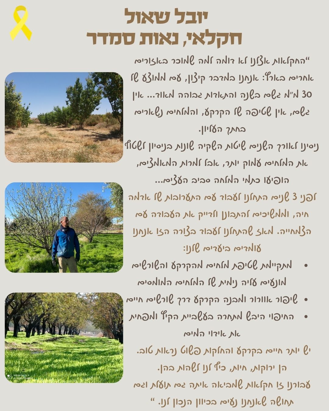 סיפור לקוח 3