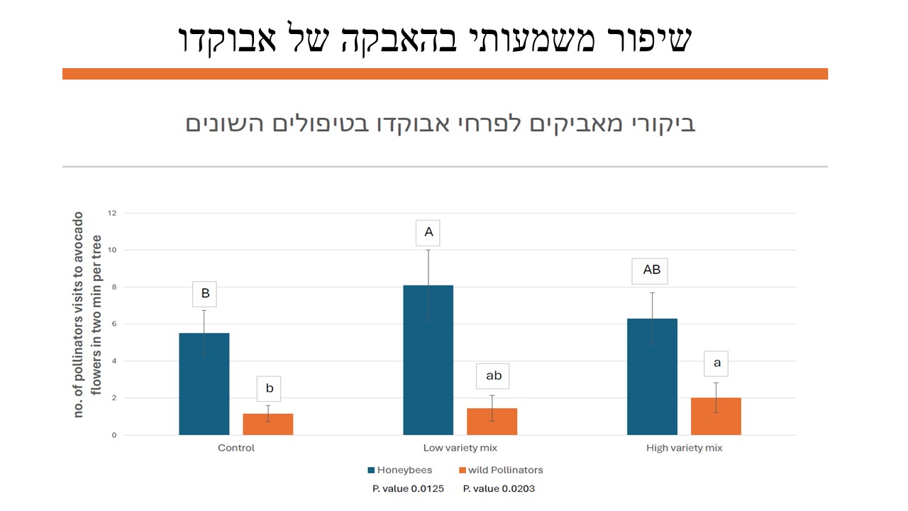 תמונה מהמטע – 1